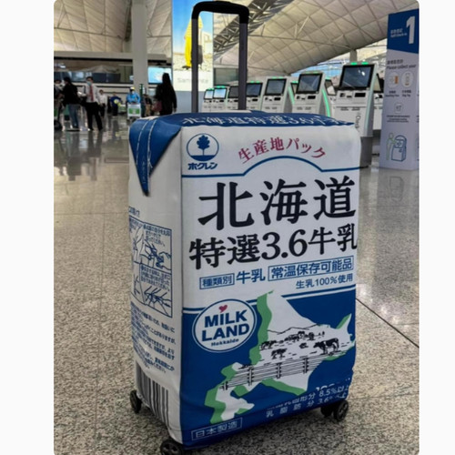KTX09史努比行李箱保护套子旅行箱保护套弹力箱套弹力防尘袋加厚 - 图3