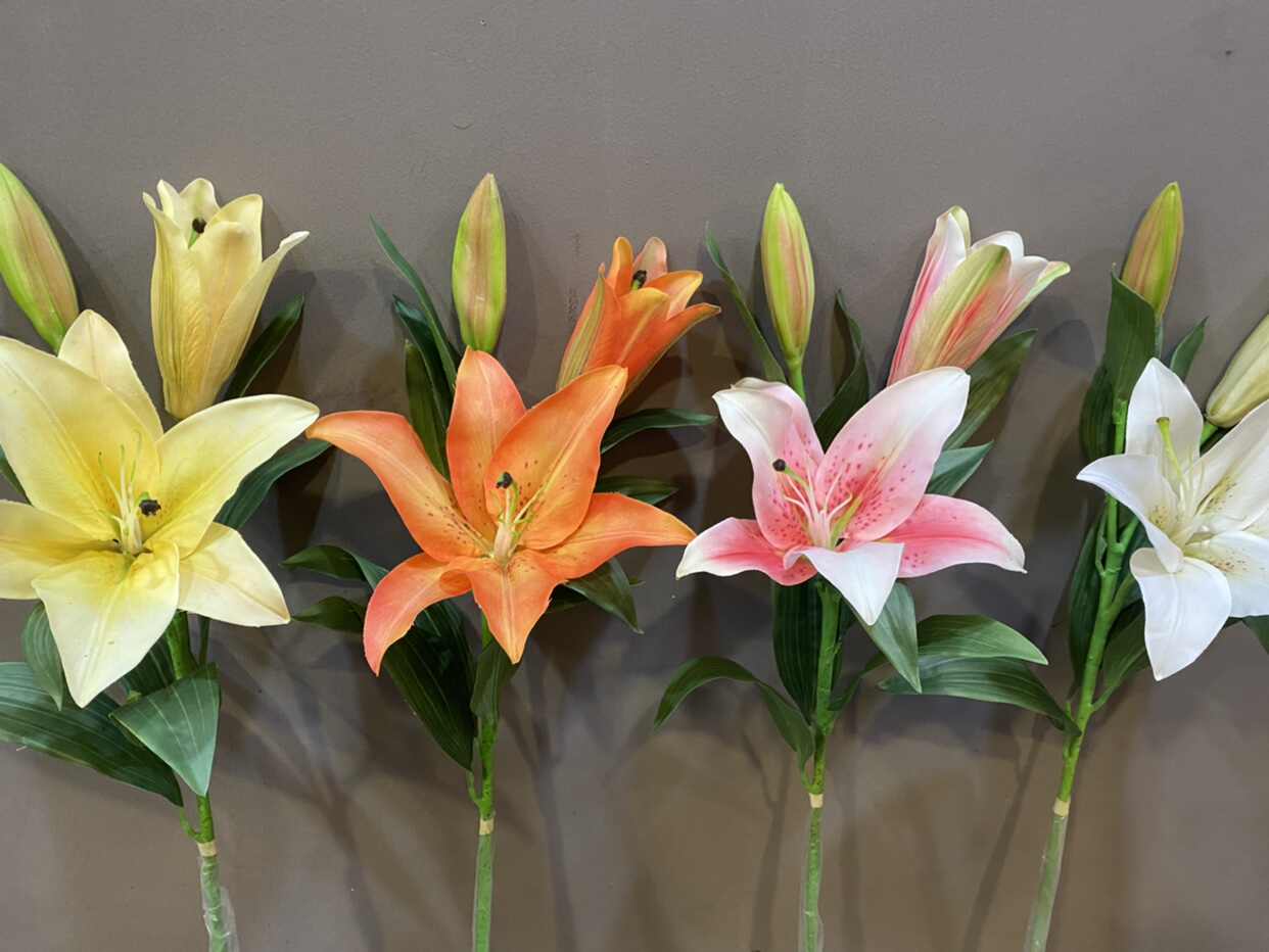 百合花一支 新人首单立减十元 22年5月 淘宝海外