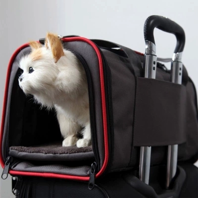 Petsfit Cat Bag Outsomally Dog Bag Сумки для домашних животных плюшевая собака Cage Cage Cage Pets из портативных мешков кошки
