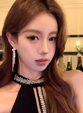 长款流苏耳环女闪钻小众气质耳饰