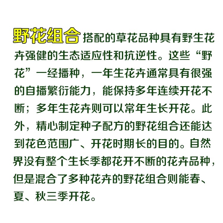 花种籽子四季播种开花庭院牵牛花种子格桑花万寿菊花种孑野花组合-图3