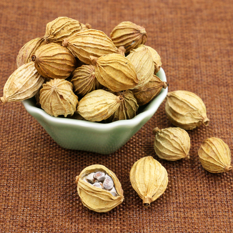 天然调料香料大全 香砂 川砂仁 香砂仁 壳沙川菜火锅香料按方抓料 - 图2