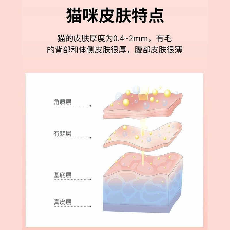 BIS赛级猫咪洗护3+1还原素全效香波猫咪去油酶防静电防止打结-图3