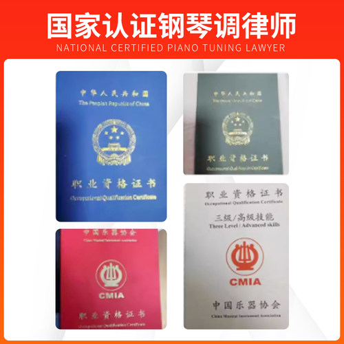 深圳钢琴调音 钢琴调律维修修理服务 调音师 钢琴调律师上门服务 - 图0