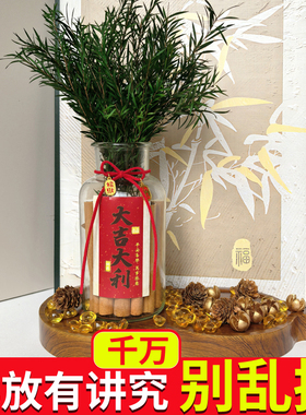 肉桂生财瓶摆件乔迁新居招财神
