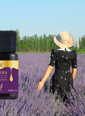 六月田鲜花提炼薰衣草精油单方