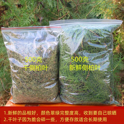 野生侧柏叶新鲜现采晒干侧柏叶粉洗头发粉扁柏熬水泡酒熏腊肉无硫 - 图1