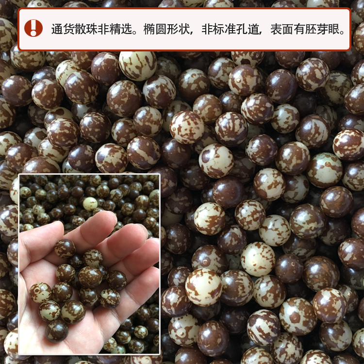 打已孔各类菩提子散珠 金刚凤眼龙眼木鱼果千眼菩提根手串念珠DIY