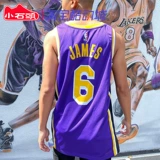 Nike NBA Los Angeles Lakers James № 6 Zijin объявил о ограниченном SW Jersey CV9481-513