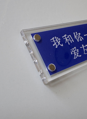 ”我和你一起爱左蓝“潜伏周边磁吸冰箱贴浪漫主义爱情余则成翠平