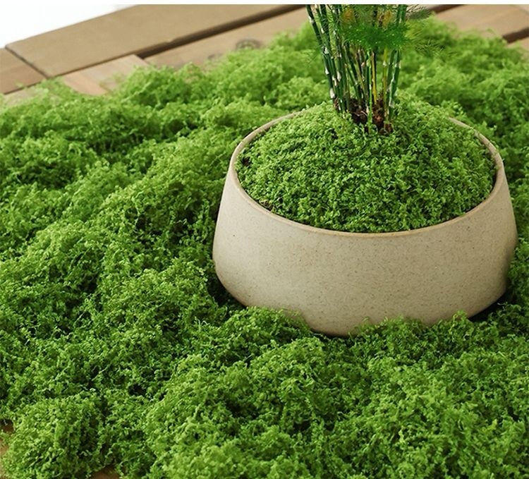 仿真苔藓假青苔丛林仿生草皮造景丝线植被diy假草皮草坪花盆铺面,淘宝优惠券,粉丝福利购,淘宝优惠卷