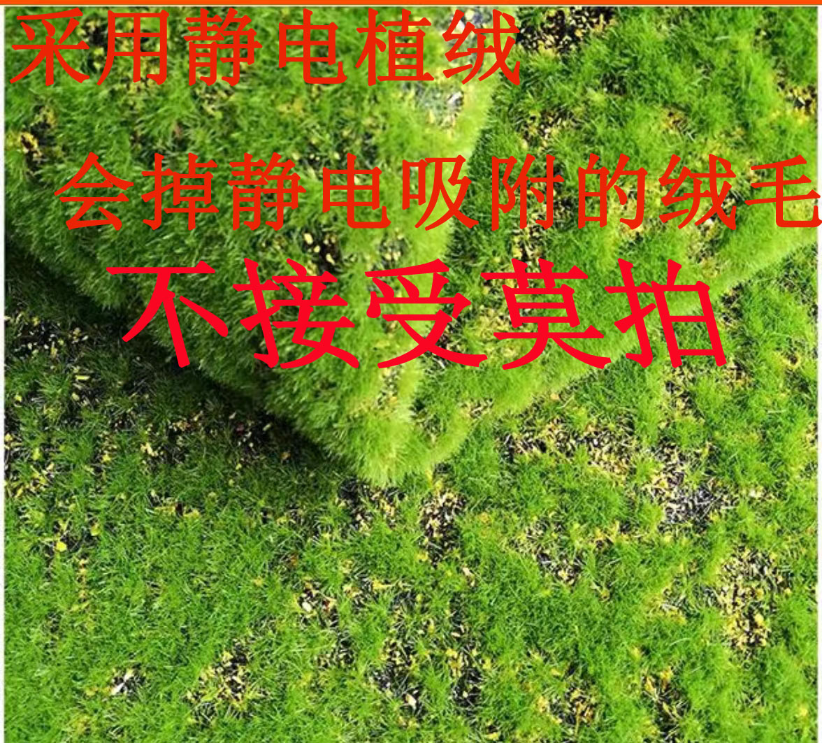 仿真苔藓假草坪草皮青苔盆景摄影装饰绿植微景观造景植绒装饰厂家 - 图0