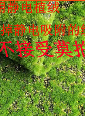 仿真假草坪草皮苔藓青苔盆景摄影装饰绿植微景观造景植绒草皮厂家