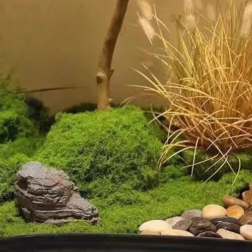 仿真丛林苔藓假青苔仿生草皮造景丝线仿真植被假草皮草坪花盆铺面-图3