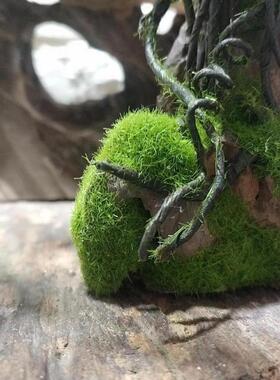 建筑沙盘草粉地形尼龙diy手工