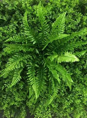 仿真绿植波斯草蕨类波斯叶藤挂装饰仿真叶植物墙配饰花材塑料北欧