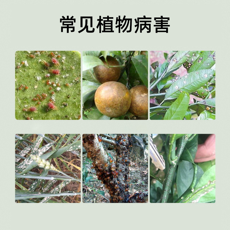 国光石硫合剂果树果园清园水剂红蜘蛛杀螨剂白粉病农药杀菌旗舰店,淘宝优惠券,粉丝福利购,淘宝优惠卷