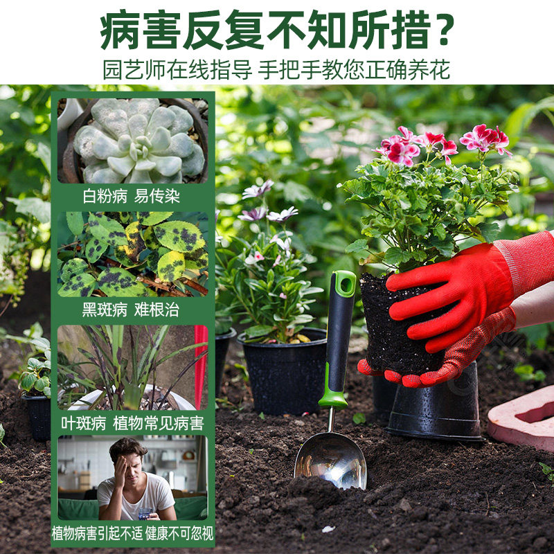 国光多菌灵杀菌剂多菌菌灵粉剂果树黑斑病白粉病农药官方旗舰店,淘宝优惠券,粉丝福利购,淘宝优惠卷