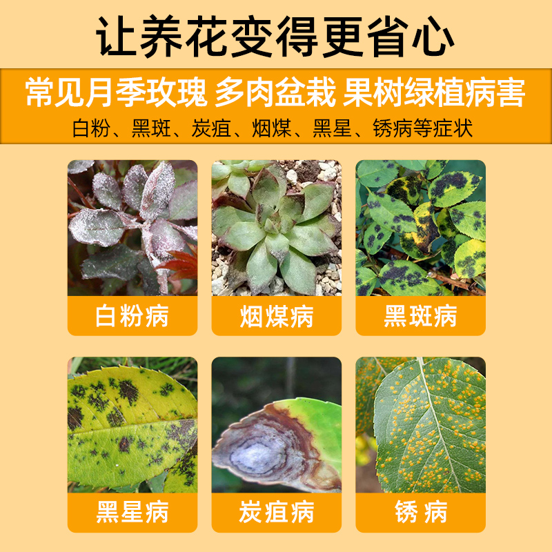 国光多菌茵灵白粉病农药正品液体杀菌剂花卉植物兰花官方旗舰店 - 图0