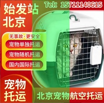 Beijing Pet Consignment Handling Air Consignment Handling Cat Dog Pet Special Car Express can be served on the door