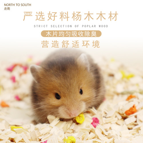 花草垫料合集 仓鼠可食用提摩西草杨木丝苔藓除臭造景走南养老院 - 图0
