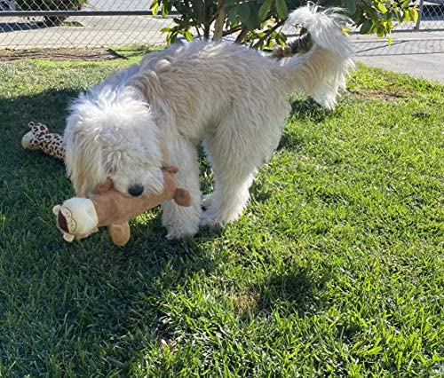 PupsNTails Set of Dog Water Bottle Toys. Crunching Plush Toy-图1