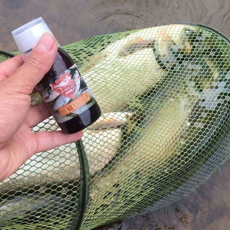 浮钓鲢鳙专用饵料酸臭钓鱼小药野钓花白鲢大头鱼方块饵窝料诱食剂-图1