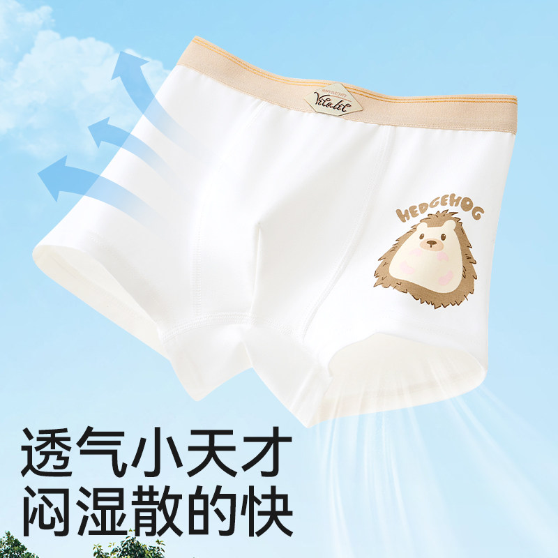 棉奇熊男童内裤儿童纯棉四角短裤中大童全棉男孩透气宝宝平角裤头,淘宝优惠券,粉丝福利购,淘宝优惠卷
