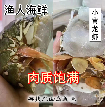 渔人海鲜 东山岛国产小青龙虾鲜活冷冻青龙虾 海鲜龙虾超大龙虾 - 图1