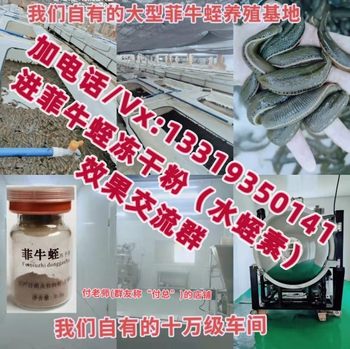 ຟີລິບປິນ leech freeze-dried powder, hirudin, leechopeptin, leechin, Philippine leech freeze-dried powder, high content Factory ຂາຍໂດຍກົງ