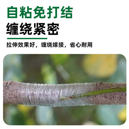 嫁接膜专用膜PE无需打结薄膜自粘式园林果树嫁接胶带包扎带缠绕膜 - 图0