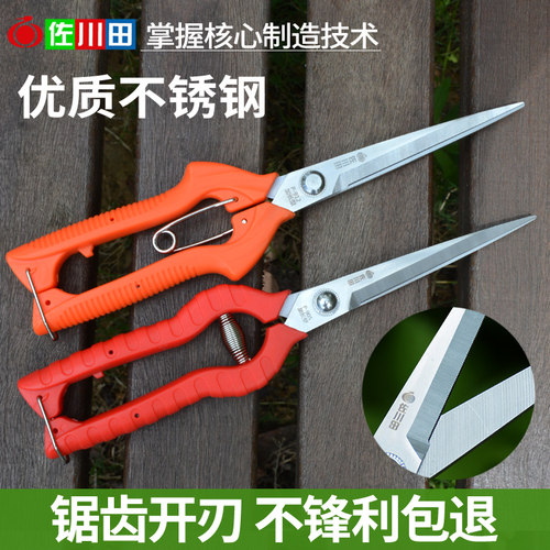 佐川田园艺修剪枝采果剪摘果剪花椒剪枸杞采摘工具果蔬剪刀花剪 - 图0