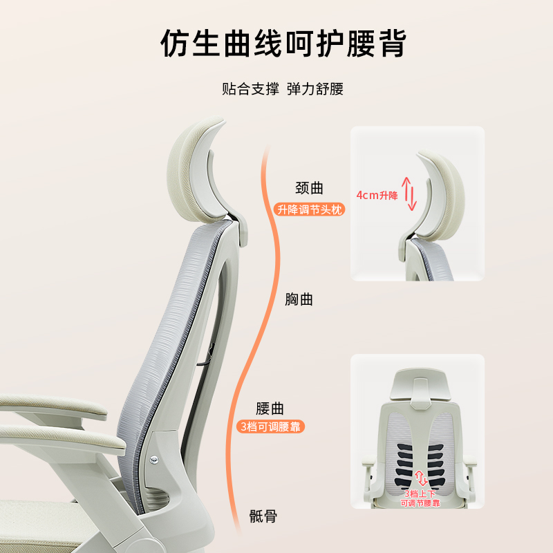 人体工学椅护腰办公椅舒适久坐电脑椅家用书房书桌椅学习写字座椅 - 图2