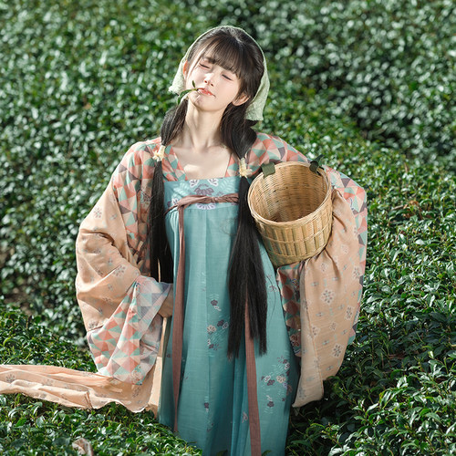 【重回汉唐青禾曲】原创齐胸套装披帛改良唐制汉服女款成人春夏 - 图0