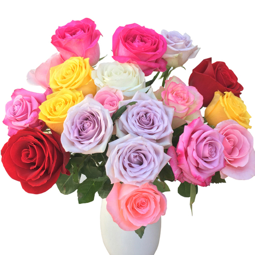 玫瑰鲜花花束云南昆明基地直发速递同城戴安娜艾莎520情人节礼物