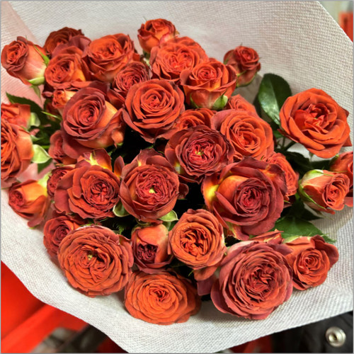 多头小玫瑰泡泡云南直发鲜花花束速递同城苏菲宝贝家用教师节礼物 - 图3