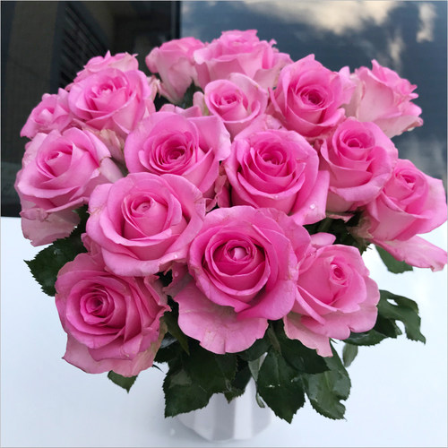 鲜花云南基地直发玫瑰花花束速递同城艾莎家用生日水养教师节礼物 - 图0