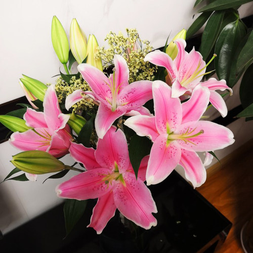 鲜花花束云南昆明基地直发香水百合花速递同城生日520情人节礼物 - 图0