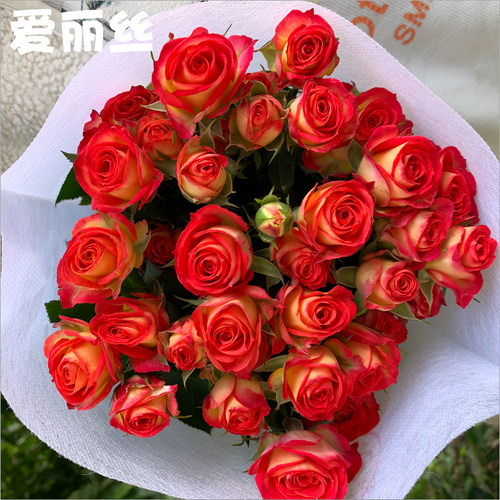 多头玫瑰泡泡云南昆明鲜花花束基地直发速递同城生日花教师节礼物 - 图2