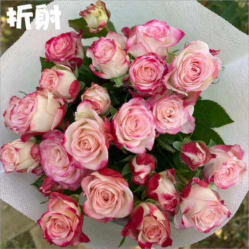 多头玫瑰泡泡云南昆明鲜花花束基地直发速递同城生日花教师节礼物 - 图1