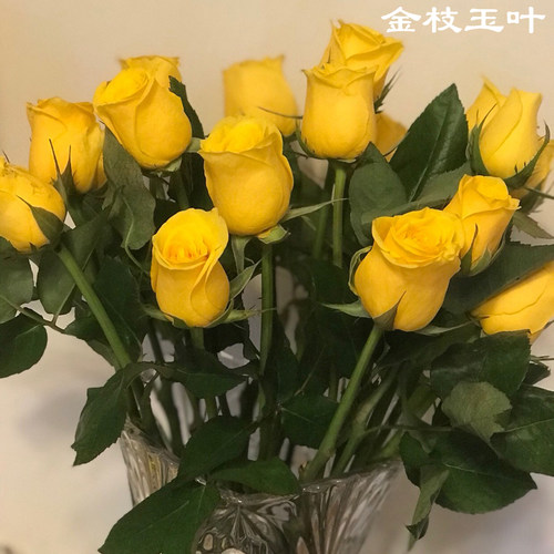 鲜花花束云南直发基地玫瑰花速递同城蜜桃雪山香槟水养教师节礼物 - 图1