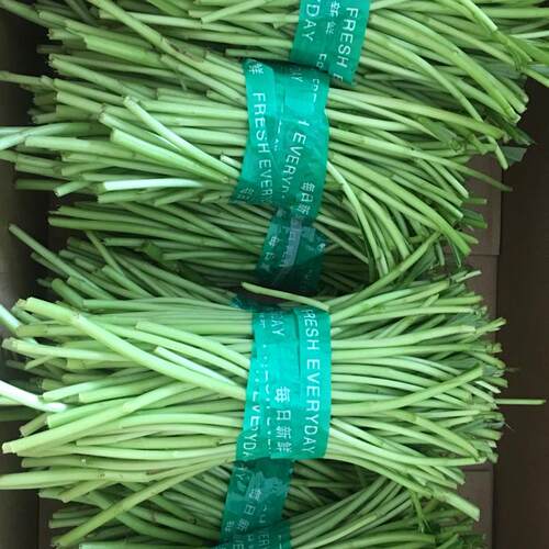 南京芦蒿泥蒿蒌蒿新鲜八卦洲藜蓠黎蒿净菜野蔬菜摘叶免摘包邮 - 图1