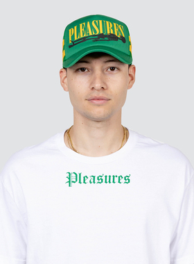 PLEASURES骨架印花网眼货车帽