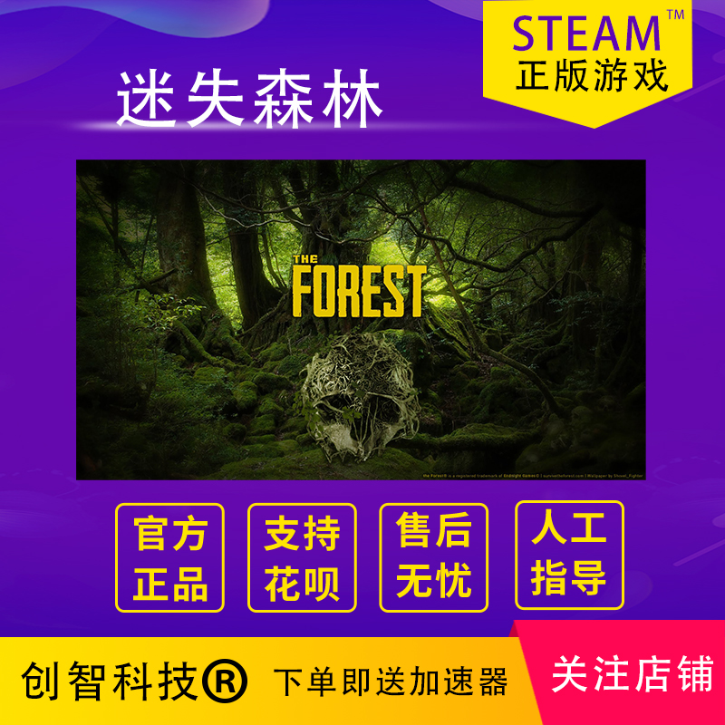 PC中文steam森林 The Forest迷失森林全新成品账号白号小号-图1