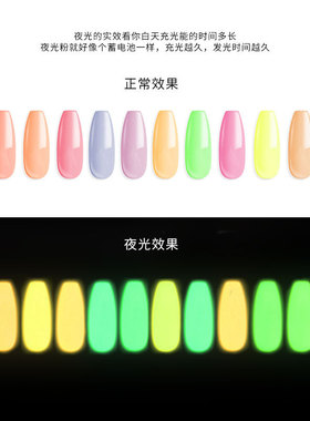 跨境美甲套装夜光粉彩色荧光粉超亮夜光饰品12色套装