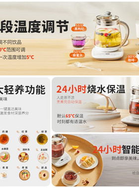 九阳养生壶家用多功能办公室全自动玻璃恒温煮茶器小型养身花茶壶