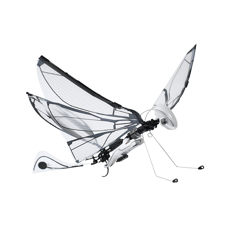法国遥控仿生鸟飞行器扑翼昆虫鸟科学课黑科技儿童小型玩具无人机 - 图3