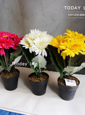 外贸尾货 仿真非洲菊花假花摆设客厅餐桌装饰品插花摆件 拍摄道具
