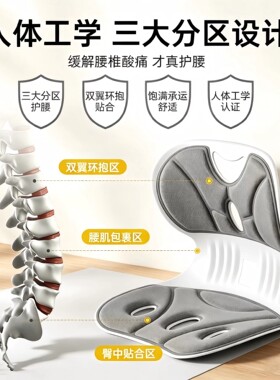 日本进口矫正坐垫人体工学护腰
