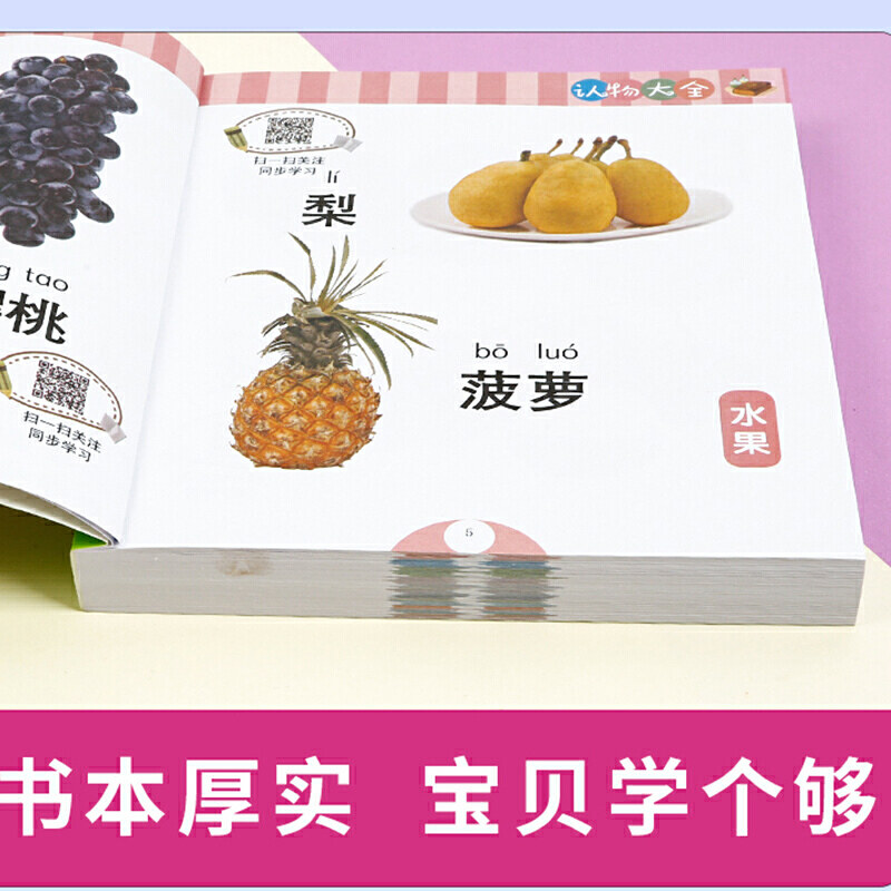 幼小衔接一认物大全儿童看图识物书认水果书0-2-3-6岁幼儿早教书籍识图学前班升一年级衔接启蒙认知婴儿益智幼小衔接宝宝绘本_虎窝淘